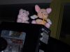 100_5986.JPG
