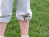 100_3323.JPG